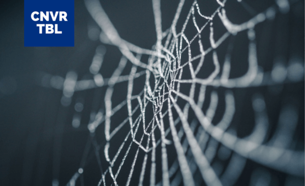 Tripwire Spinnennetz Falle